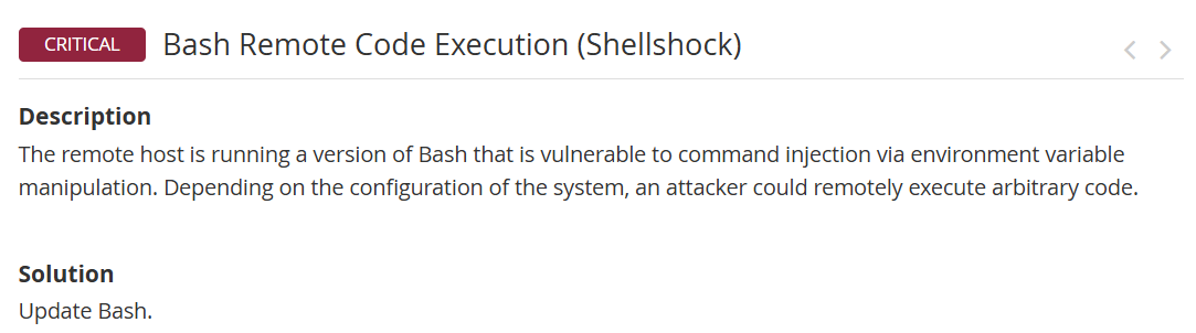 Nessus Shellshock finding